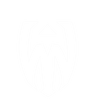 Audawer
